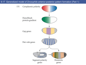 Developmental Biology 8/e - Florida International University