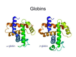 Globins - BioQUEST