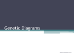 Genetic Diagrams - Noadswood School