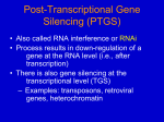 Post-transcriptional Gene Silencing (PTGS)