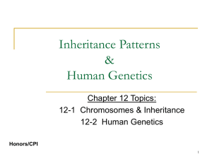 Inheritance Patterns & Human Genetics