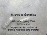 Microbial Genetics - University of Montana