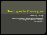 Genotypes to Phenotypes