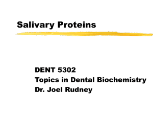 Salivary Proteins - University of Minnesota