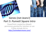 Genes (not Jeans!) Part 3: Punnett Square Intro