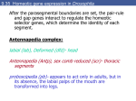 Developmental Biology 8/e - Florida International University