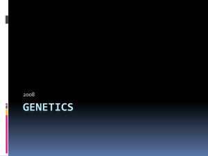 Genetics - Welcome to the BHBT Directory