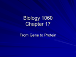 Biology 1060 Chapter 17 - College of Southern Maryland