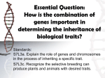 Essential Question: How is the combination of genes