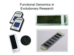 Microarray Analysis & Functional Genomics
