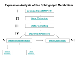 Expression Analysis of the Sphingolipid Metabolism