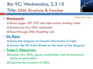 Bio 9C: Wednesday, 2.3.10Title: DNA Structure & Function