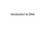 Introduction to DNA - University of Dayton