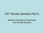 Mendelian Genetics