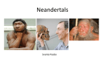Neandertals - Stanford University
