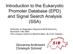 Promoter sequence analysis