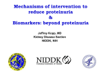 Mechanisms of intervention to reduce proteinuria