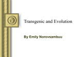 Transgenic and Evolution - California Science Teacher