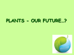 PLANTS IN THE FUTURE
