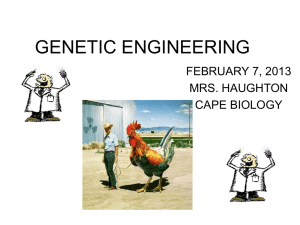 GENETIC ENGINEERING - CAPE Biology Unit 1 Haughton XLCR …