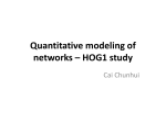 Quantitative modeling of networks – HOG1 study
