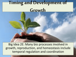 Timing and Development of Growth