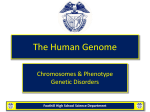 14-2 Human Chromosomes