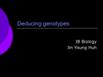 Deducing genotypes - Life is a journey: Mr. T finding his way