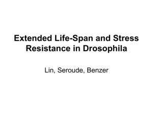 Extended Life-Span and Stress Resistance in Drosophila