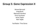 Group 4: Gene Transcription 2