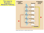 Nerve activates contraction - Green River Community College