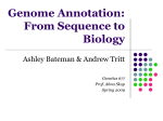 Genome Annotation: From Sequence to Biology