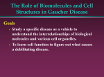 The role of biomolecules in Gaucher Disease