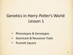 Genetics in Harry Potter's World
