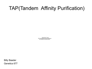 TAP(Tandem Affinity Purification)