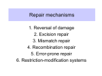 Repair mechanisms - Pennsylvania State University