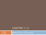 Chapter 11.2