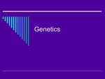 Genetics - Dr Magrann