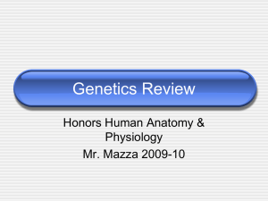 Genetics Review