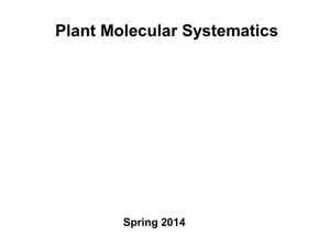 Systematic Implications of DNA variation in subfamily