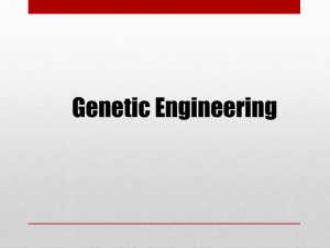 Genetic Engineering - Somers Public Schools