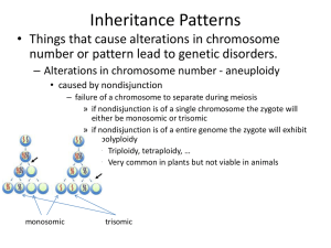 Inheritance Patterns - Santa Susana High School