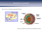 Coarse-Graining of Macromolecules