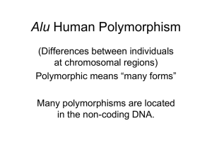Alu Human Polymorphism