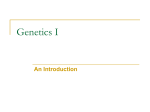 Genetic I - University of Dayton