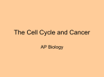 The Cell Cycle and Cancer - Clark Pleasant Community