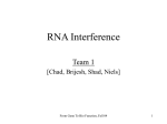 The RNAi mechanism