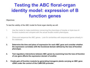 Testing the ABC floral-organ identity model: expression of