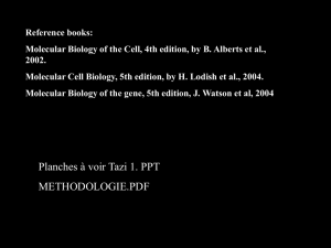 Diapositive 1 - Master 1 Biologie Sant&#233