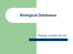 Biological Databases